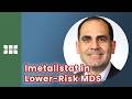 Imetatlistat in lower-risk MDS: Study results | Amer Zeidan, MBBS | #ASH2025