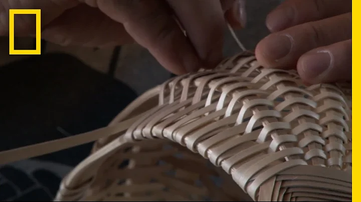 How to Make a Traditional Woven Basket from a Tree | Short Film Showcase