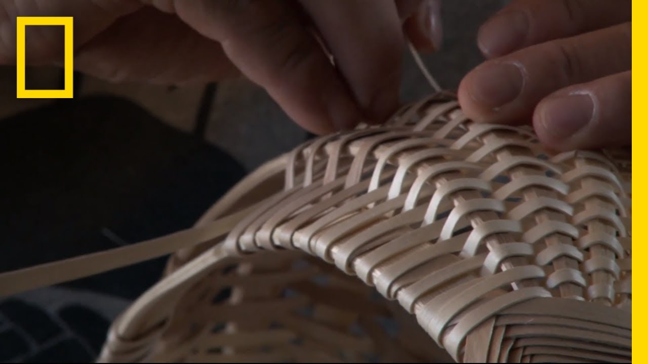 How to Make a Traditional Woven Basket from a Tree | Short Film Showcase