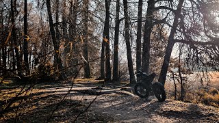 видео: Золотая осень на электро фэтбайке картинка: Золотая осень на электро фэтбайке