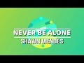 NEVER BE ALONE BY SHAWN MENDES LYRICS