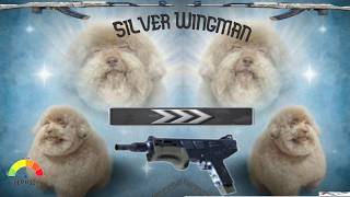 Silver Wingman Mag7 is Heaven