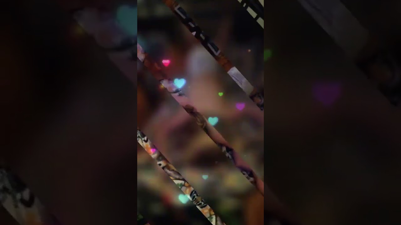 Morticia dead to the world asleep 😂