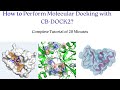 How to Perform Molecular Docking with CB-DOCK2?