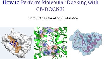 How to Perform Molecular Docking with CB-DOCK2?
