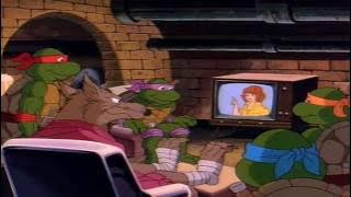 RETRO Hitovka: Želvy Ninja - My jsme přátelé ( MC / CD 1993 )