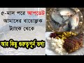 ৫মাস পরে আপডেট আমাদের বায়োফ্লক ট্যাংক থেকে biofloc update biofloc fish farming