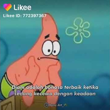 Story wa petrik