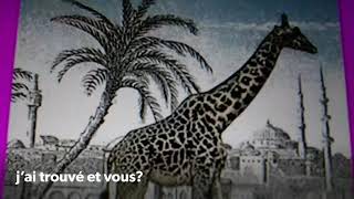 Essayer de trouver 2 girafes ?si tu trouve t’es fort.