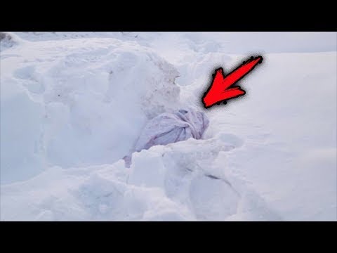 Video: Hvorfor er ikke min hund Svar på hans navn?