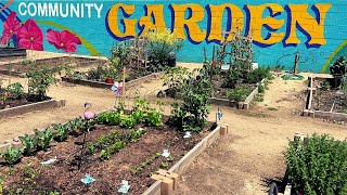 Community Garden Tour & Plant Sale! 🌺🌱 by Garden Happy 571 views 1 month ago 10 minutes, 52 seconds