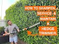 How to sharpen service  maintain a hedge trimmer diy