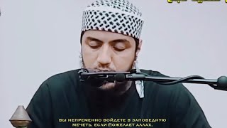 Саид Дубаха | Сура «Фатх» [27-29]