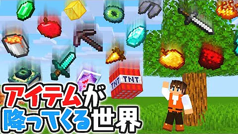 マイクラ何もない世界