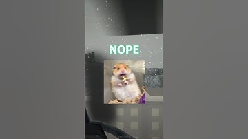 Average Battlebit Pilot