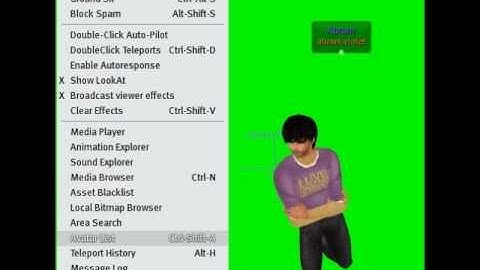 Second Life Phoenix Viewer - Never go AFK tutorial