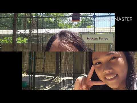Huling hirit sa tag-init 2/2 | Paradise Beach Resort | 052619