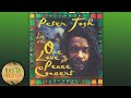 Capture de la vidéo Peter Tosh - Live At The One Love Peace Concert (Full Album Audio)