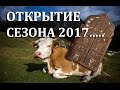 Коп в краснодарском крае 2017