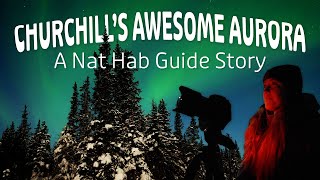 Churchill's Awesome Aurora: A Nat Hab Guide Story by Natural Habitat Adventures 22,585 views 10 months ago 5 minutes, 5 seconds