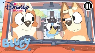 Bluey Familie Tijd Disney Junior België-Nederland