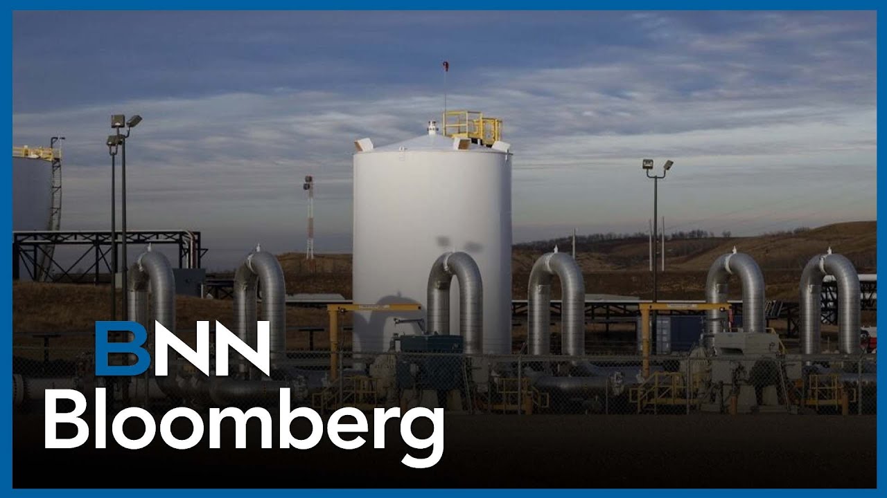 'The whole Canadian energy ecosystem has performed positively': Bushell