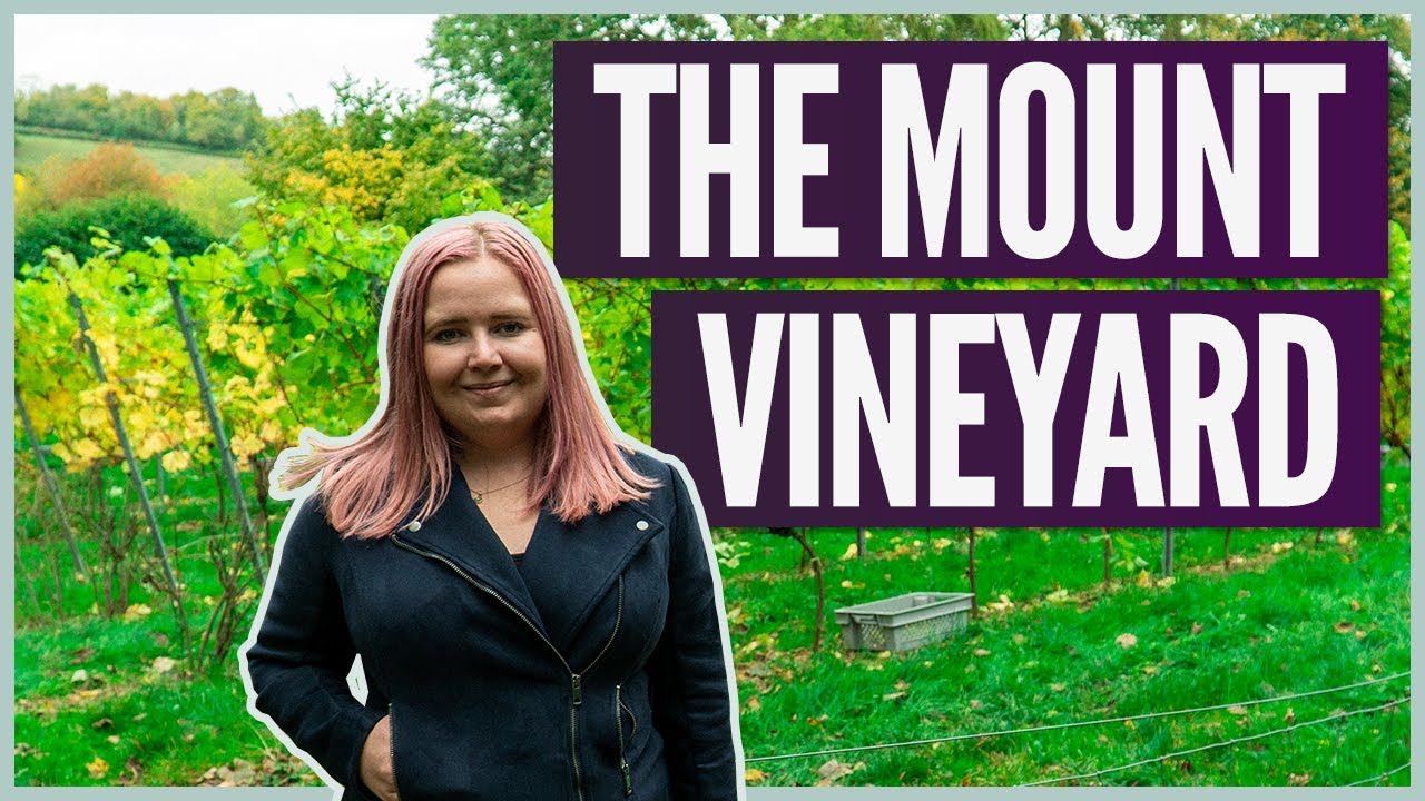 I Went English Wine Tasting (Only An Hour From London)