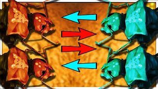 EPIC NEW 2v2 Battle Between Four Ant Queens | Empires Of The Undergrowth screenshot 5