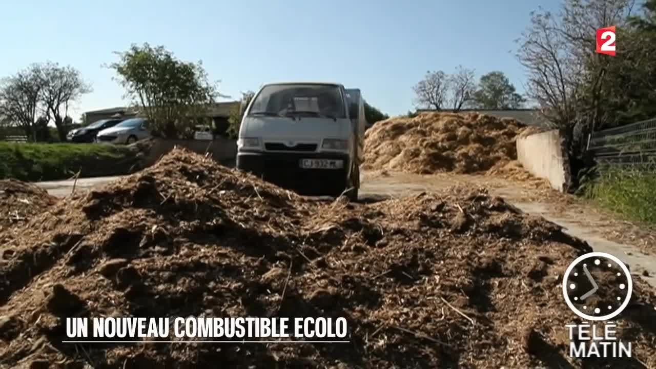 Fabriquer des bûches de crottin de cheval : le test qui envoie du bois –  Terre et sabots