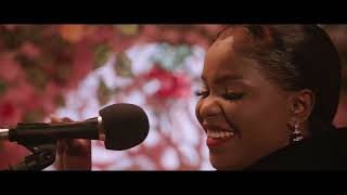 Daphne - Amour Intouchable (Visualizer)