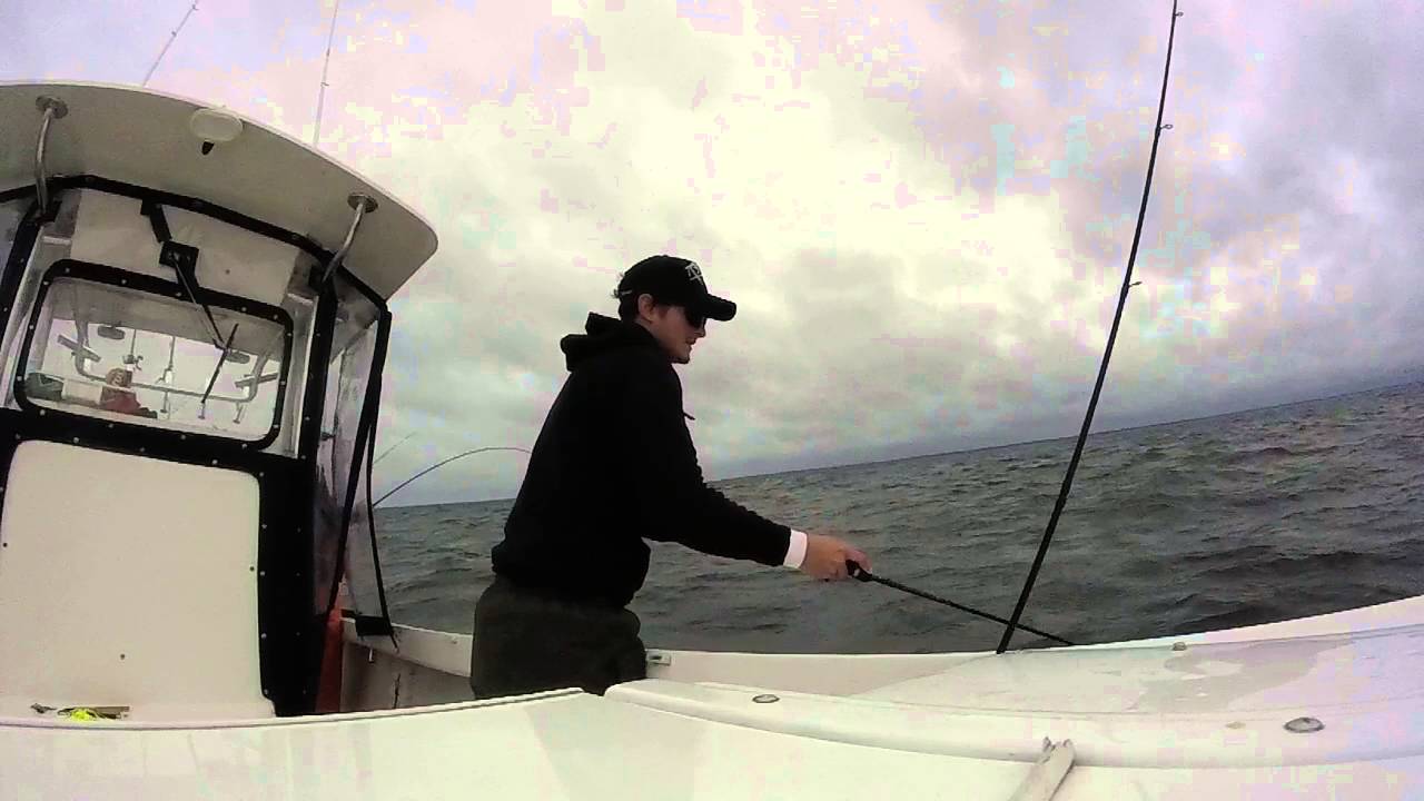 Fishing a school of stripers ! YouTube