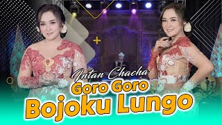 Intan Chacha - Goro Goro Bojoku Lungo (Official Music Video)