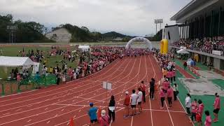 リレーマラソン２千人力走　田辺市でパンダラン screenshot 3