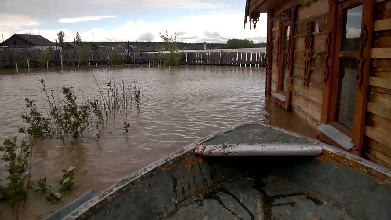 Усть кажа алтайский край