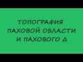 Топография паховой области и пахового треугольника