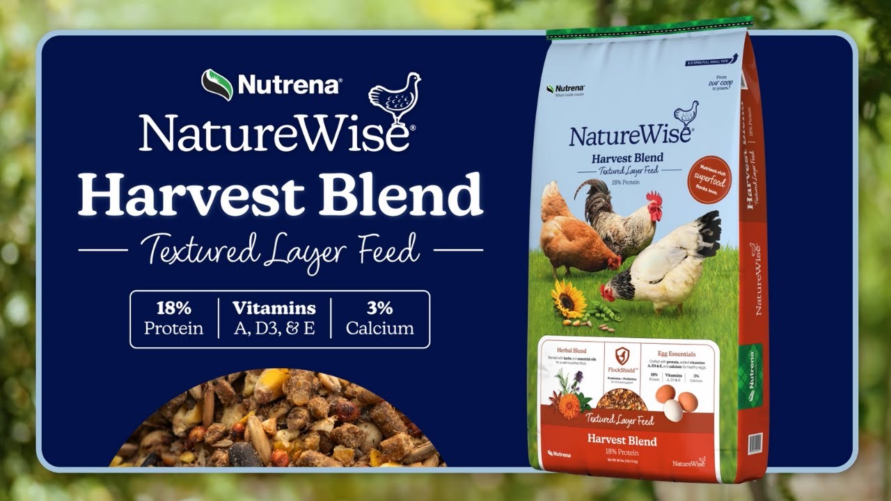 NatureWise Harvest Blend | Premium Poultry Feed for Healthy, Happy Chickens