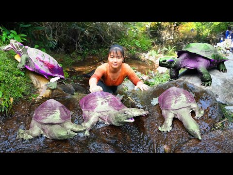 Catch A Lot Of Turtle In The Rock Crevice Go To Market Sell - Buy New Shirt | New Free Bushcraft