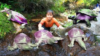 Catch A Lot Of Turtle In The Rock Crevice Go To Market Sell  Buy New Shirt | New Free Bushcraft