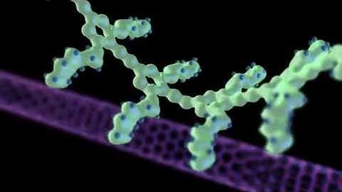 Nanotechnology Animation; Functionalized nanotubes.