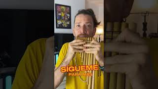 Pedro Bombo - Victor Dominguez (Versión Zampoña) #flautaindígena #panflute #flauta #zampoña
