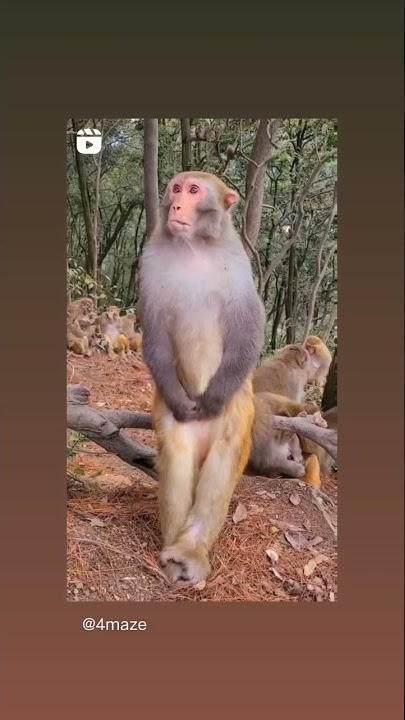 mikirin gaji #videolucu #videounik