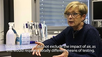 Development of new cell lines as a means of reducing animal testing in toxicology