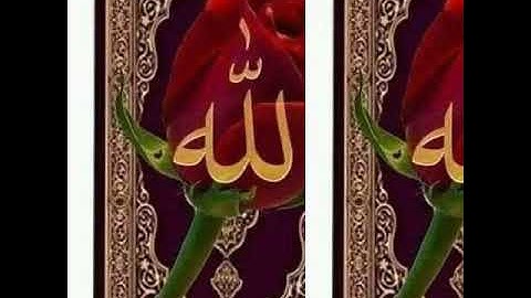 ترتيل سورة الشورى مقام البيات للقارئ علي هوبي