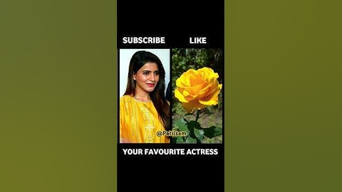Viral Sai Pallavi & Sreeleela’s Favourite Rose? 💖 South Beauty Moments! #shorts