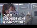 ¿Qué es el coronavirus? | ¿Dónde surgió el coronavirus? - Noticias MX