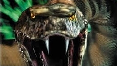 Python [2000] (músic vídeo)