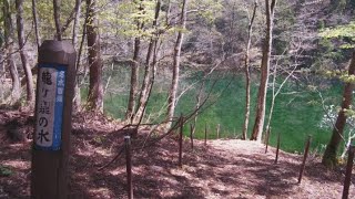 【ふるさと百景】　龍ヶ窪　湧き出る名水（新潟県津南町）