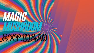 Unlocking the Mind's Full Potential : Journey into the World of Psychedelic Mushrooms
