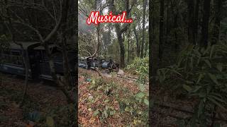 Darjeeling Himalayan rail steam locomotive #steamengine #narrowgauge #railfan