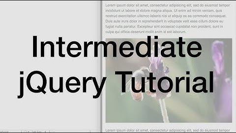 jQuery Variables, Functions, and Conditional Logic Tutorial